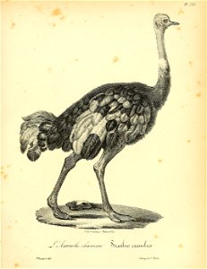 n310_w1150
