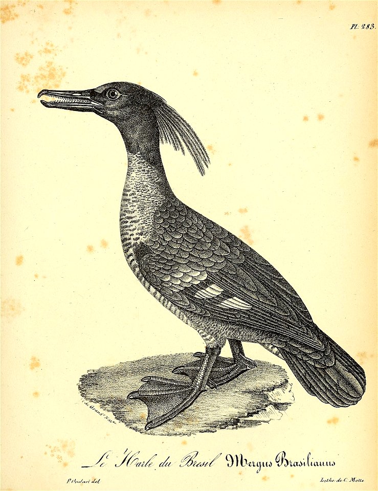 n430_w1150