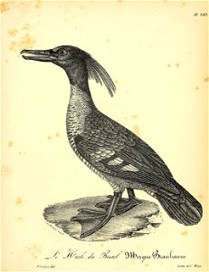 n430_w1150
