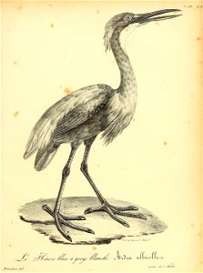 n370_w1150