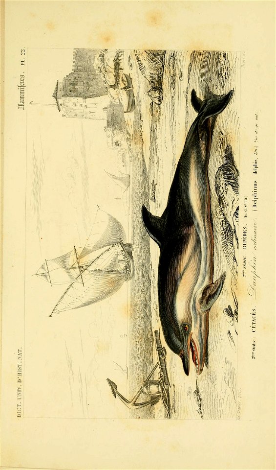n128_w1150