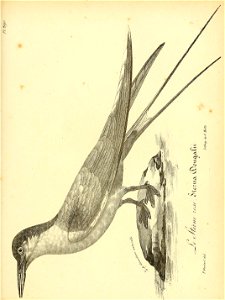 n444_w1150