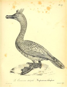n414_w1150