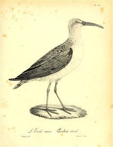 n326_w1150