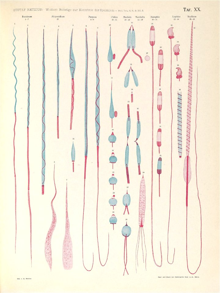 n170_w1150