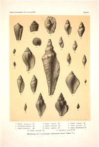 n162_w1150