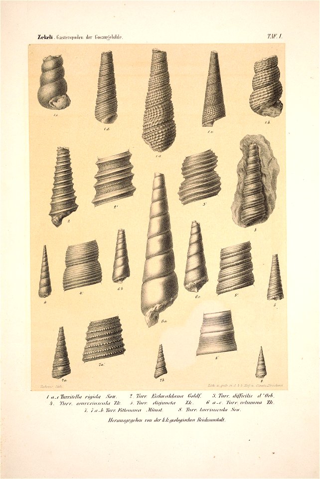n136_w1150