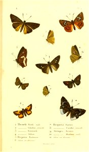 n148_w1150