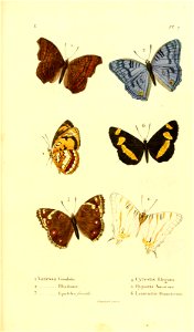 n146_w1150