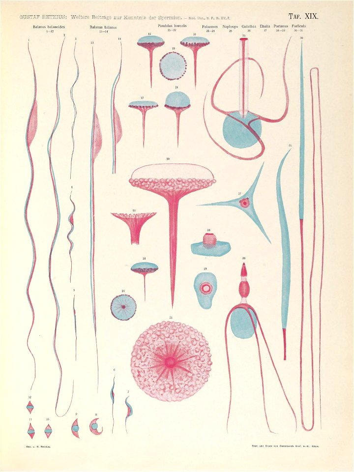 n168_w1150