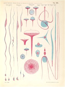 n168_w1150