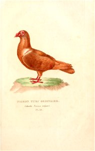 n248_w1150