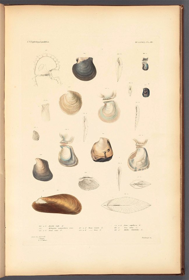 n56_w1150