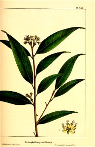 n154_w1150