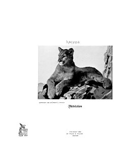 n5_w1150
