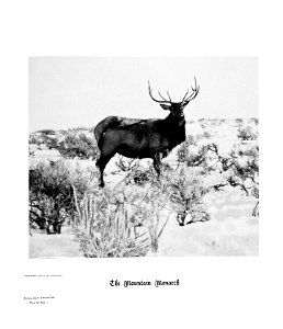 n26_w1150