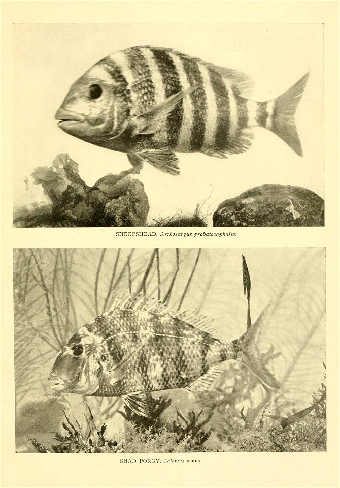 n628_w1150