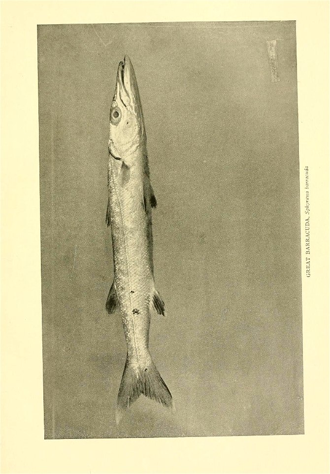 n352_w1150