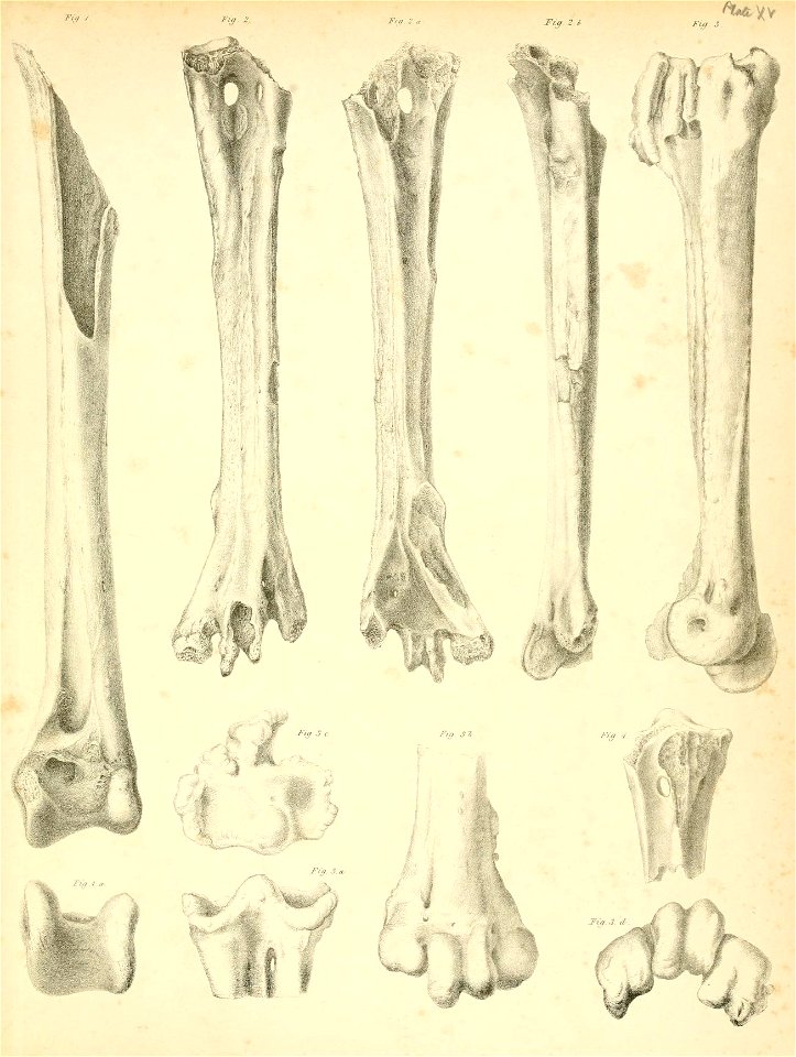 n198_w1150