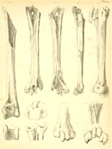 n198_w1150
