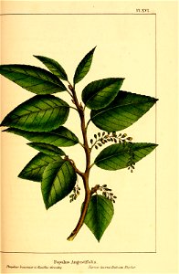 n108_w1150