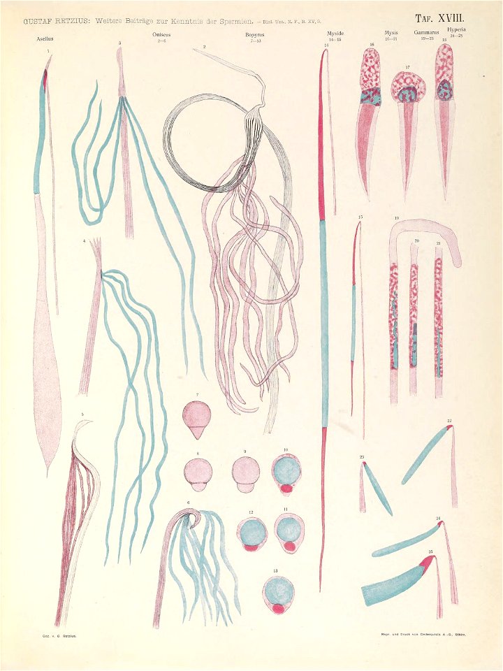 n166_w1150
