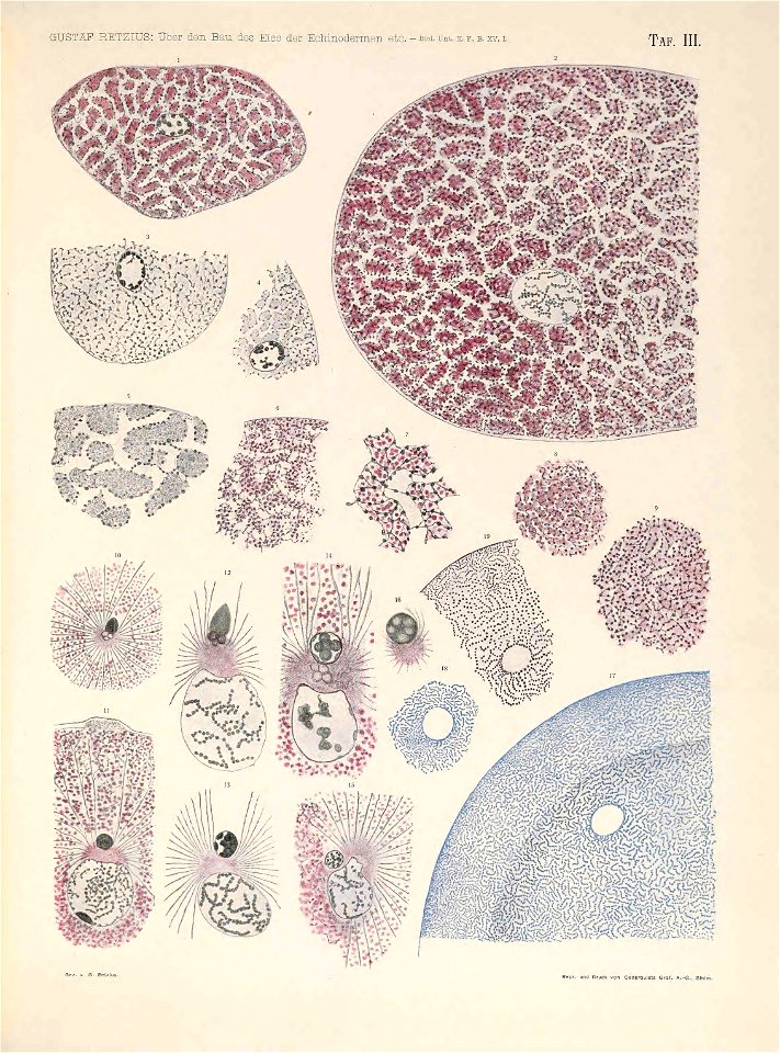 n116_w1150