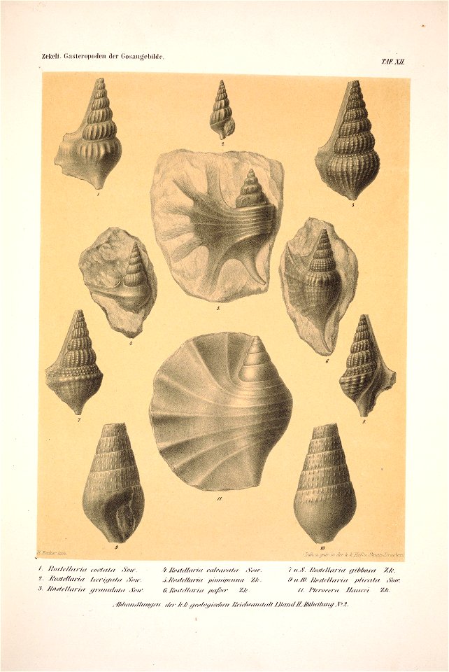 n158_w1150