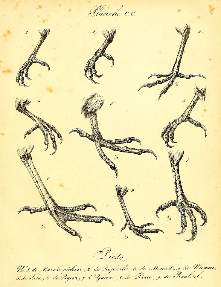n522_w1150
