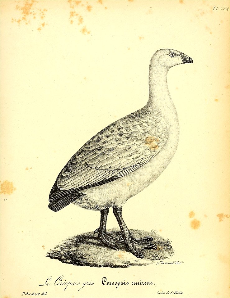 n432_w1150