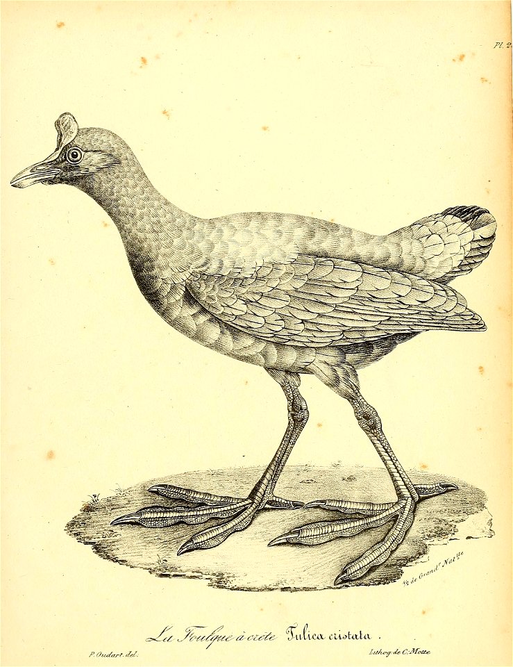n402_w1150