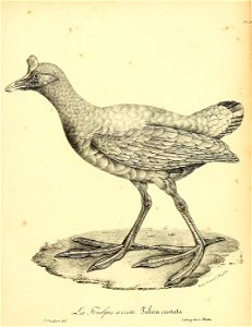 n402_w1150