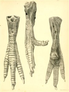 n178_w1150