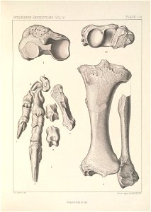 n258_w1150