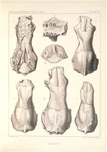 n194_w1150