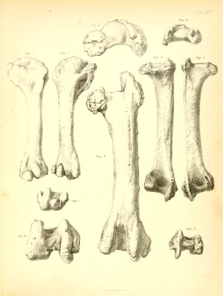 n196_w1150
