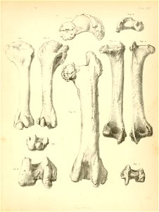n196_w1150