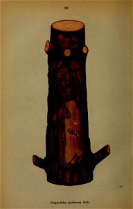 n137_w1150