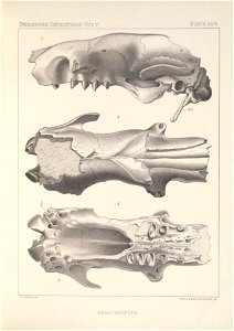 n202_w1150