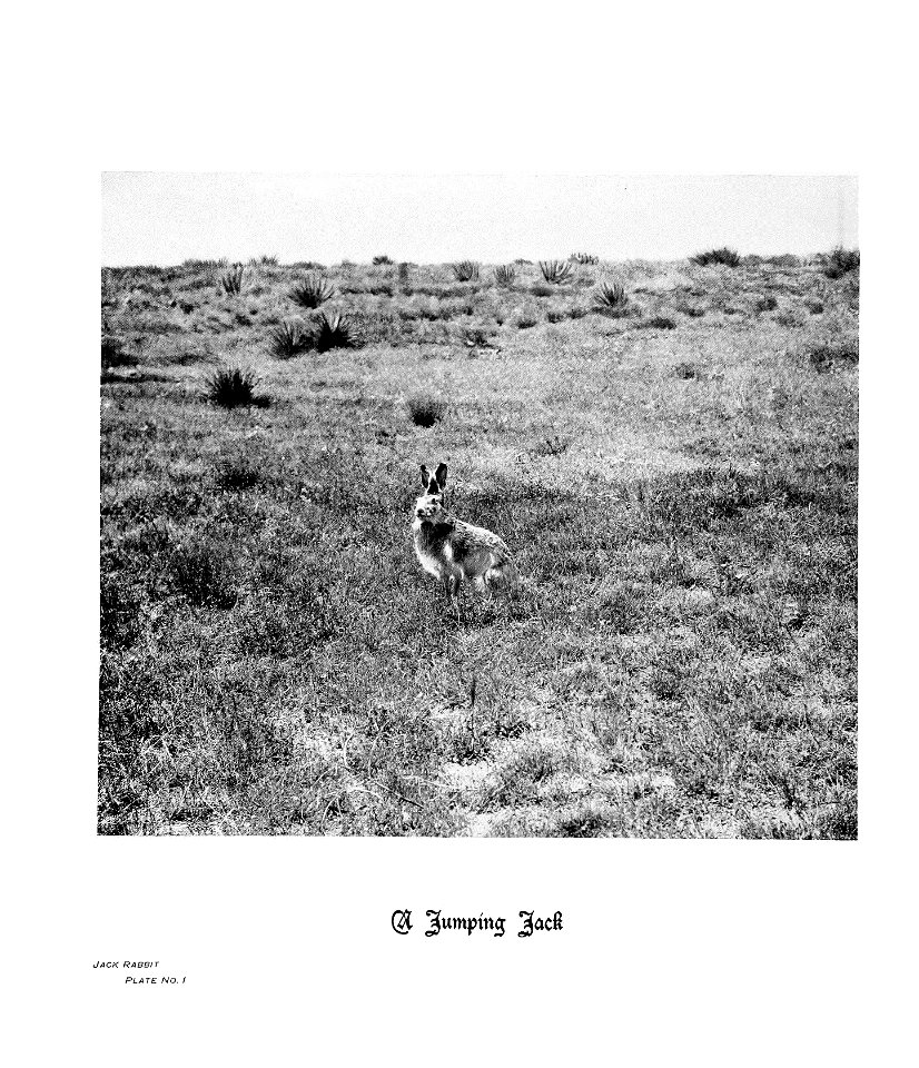 n39_w1150