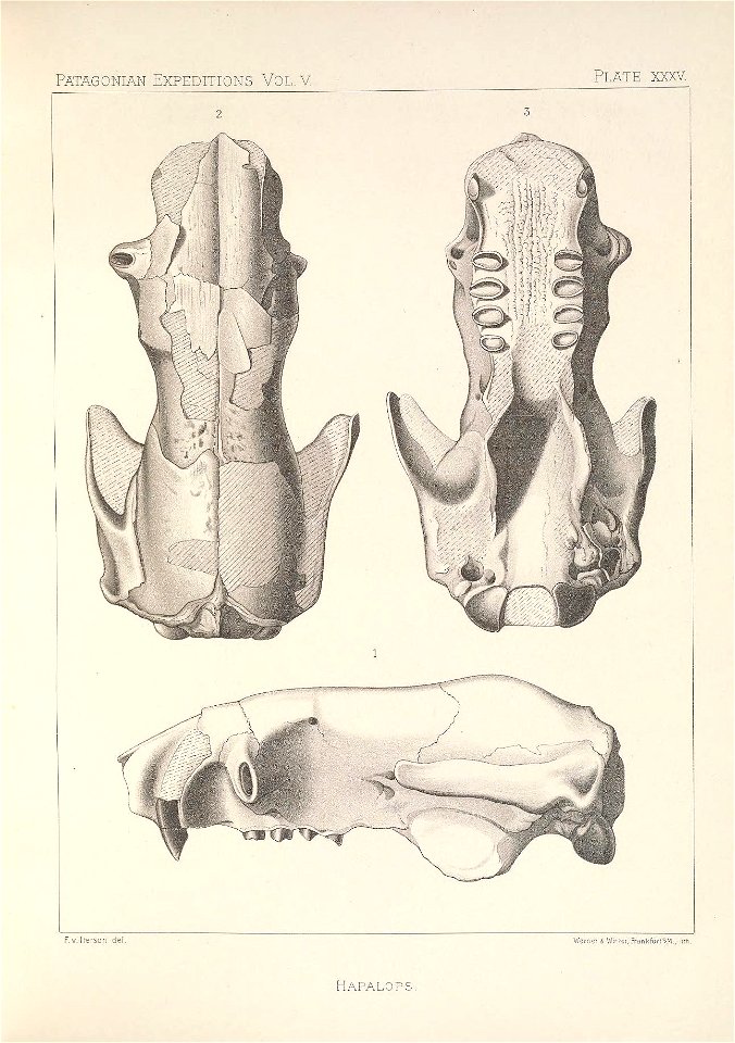 n154_w1150