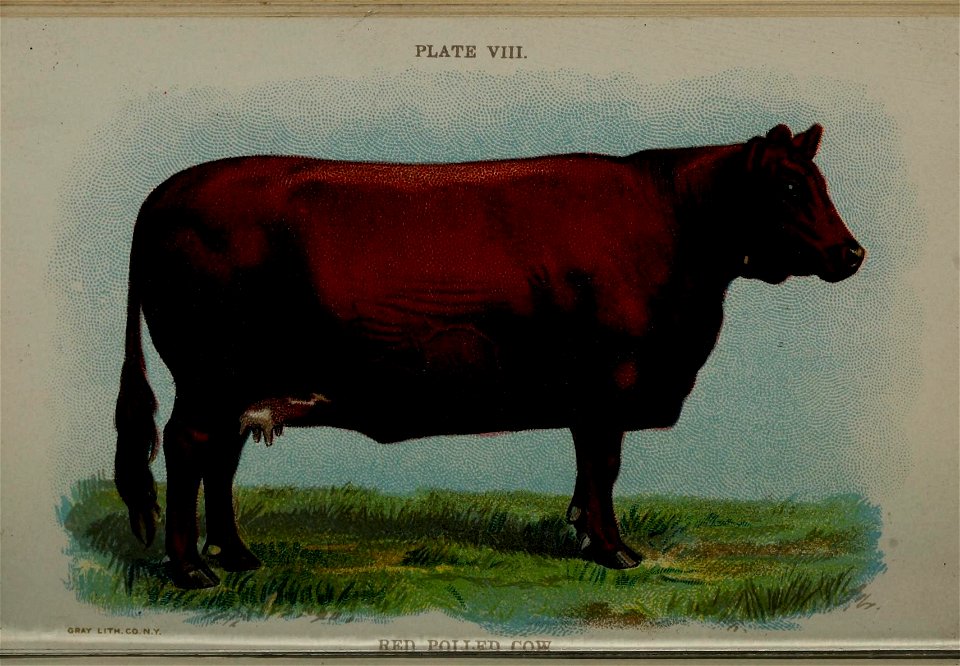 n135_w1150