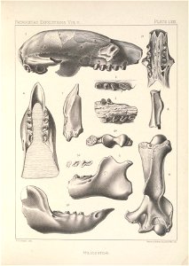 n266_w1150