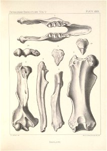 n142_w1150