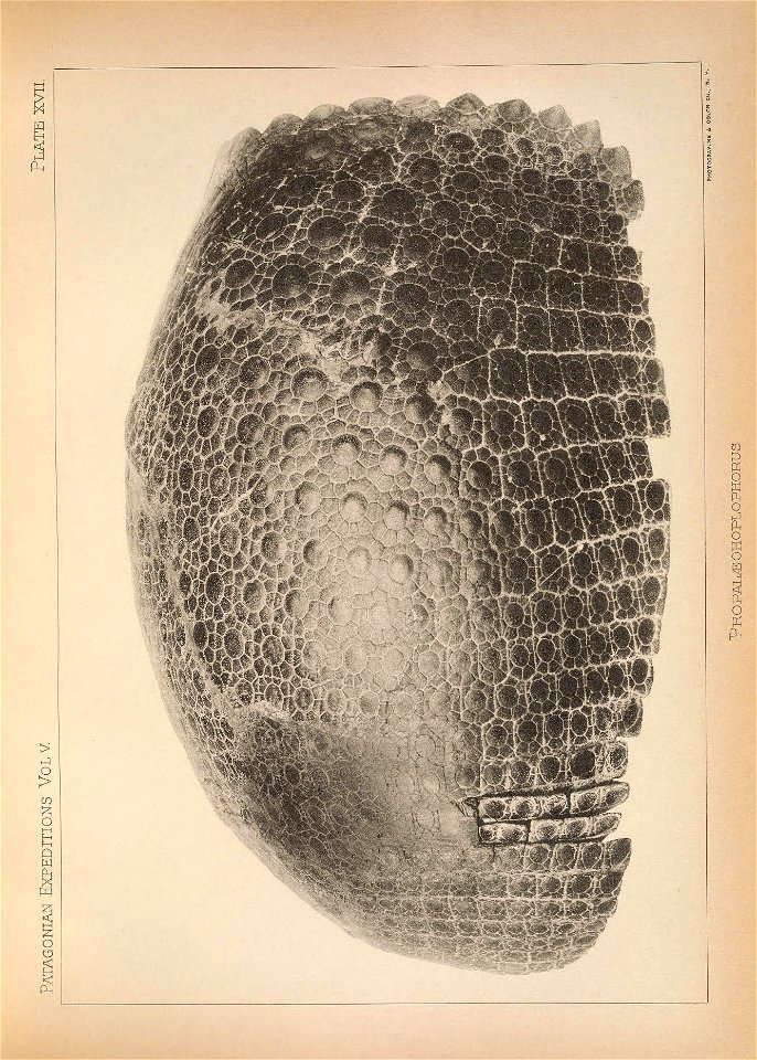 n78_w1150