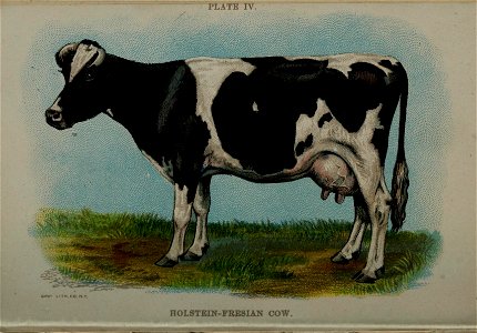 n85_w1150