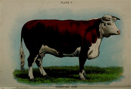n95_w1150