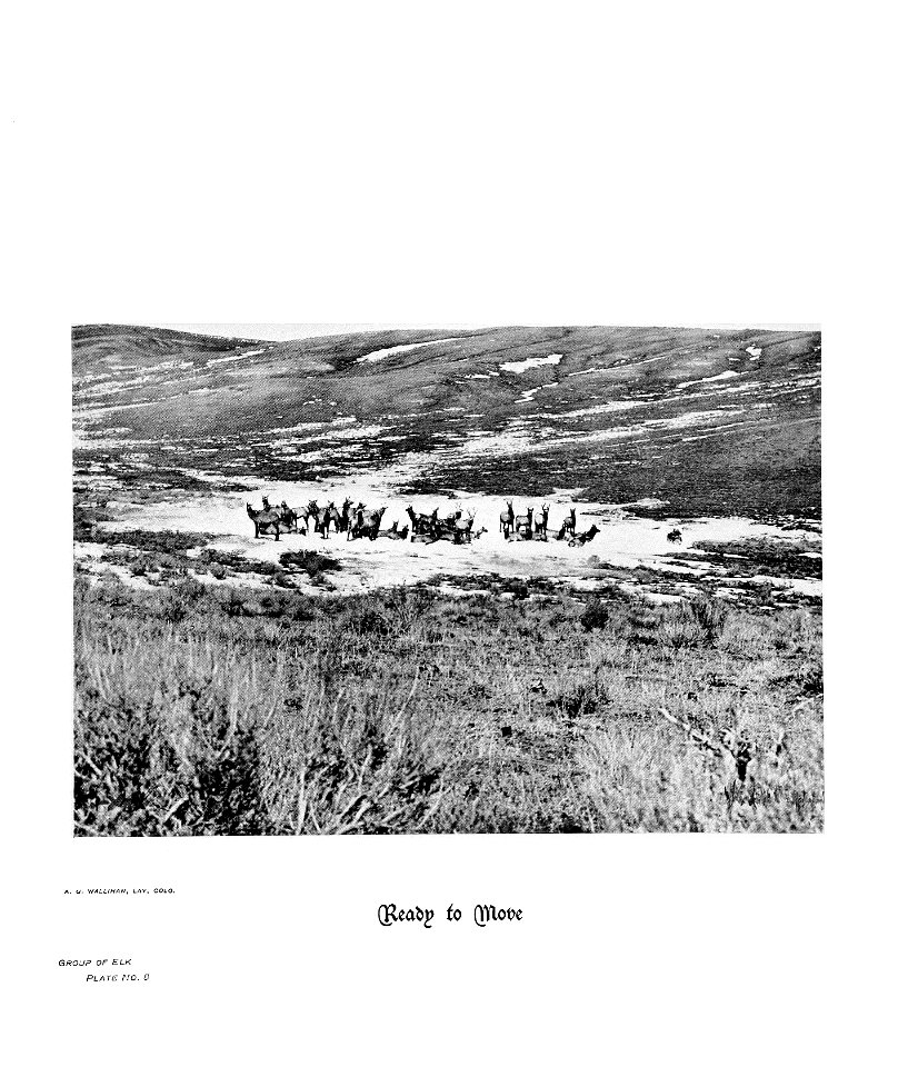 n24_w1150