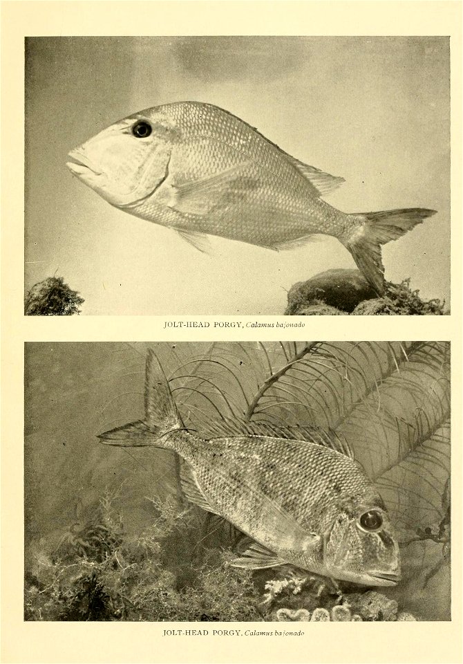 n616_w1150