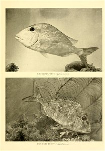 n616_w1150